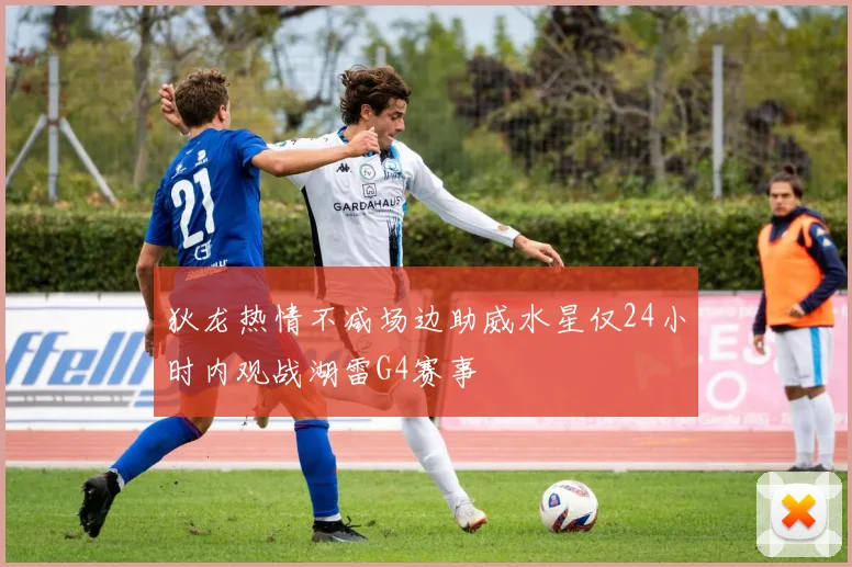 狄龙热情不减场边助威水星仅24小时内观战湖雷G4赛事